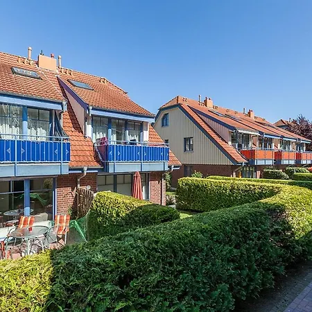 Papillon 18-3 Boltenhagen