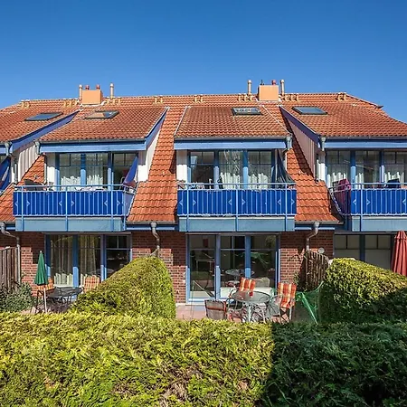 Papillon 18-3 Boltenhagen